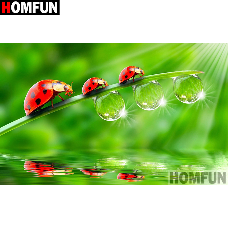 HOMFUN-pintura de diamante 5D  - Embroidery Lady Bug reseña y precio