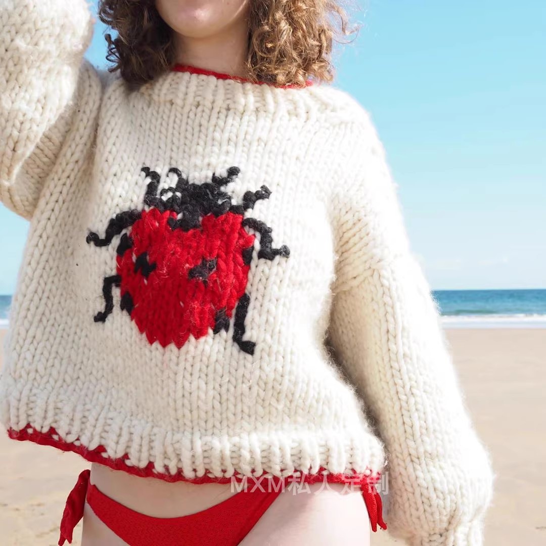 Suéter de lana gruesa tejido a - Embroidery Lady Bug reseña y precio